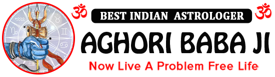 Astrologer Aghori Baba Ji Call Now +91-9660262129